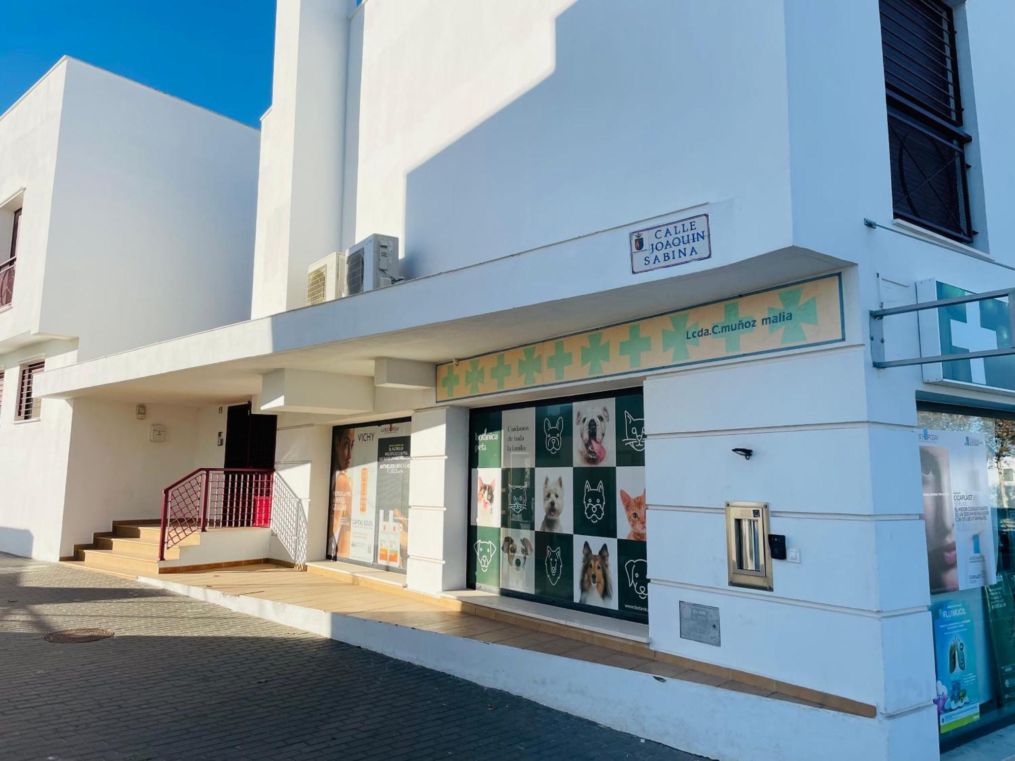 Appartement Atico Premium Conil Con 2 Terrazas, Parking, Piscina, Aire Ac Y Wifi -Solo Familias Y Parejas- à Conil De La Frontera Extérieur photo